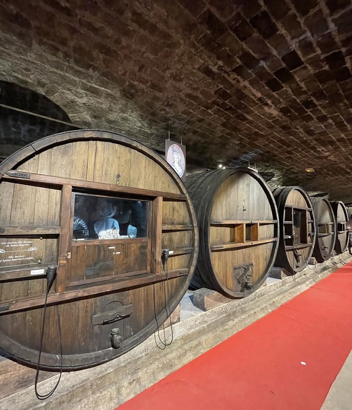 Provence Cru Wine Small-Group Half-Day Tour from Avignon