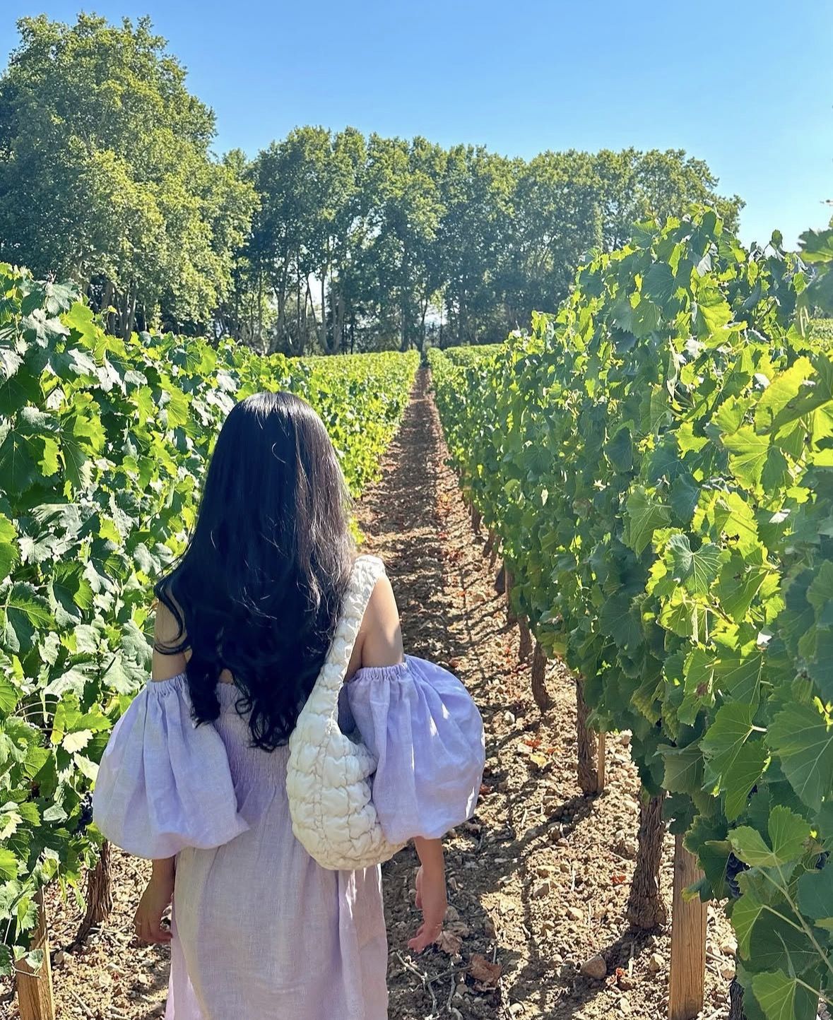 Provence Lavender Fields Tour from Aix-en-Provence